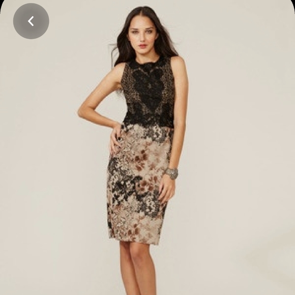 elie tahari cocktail dresses